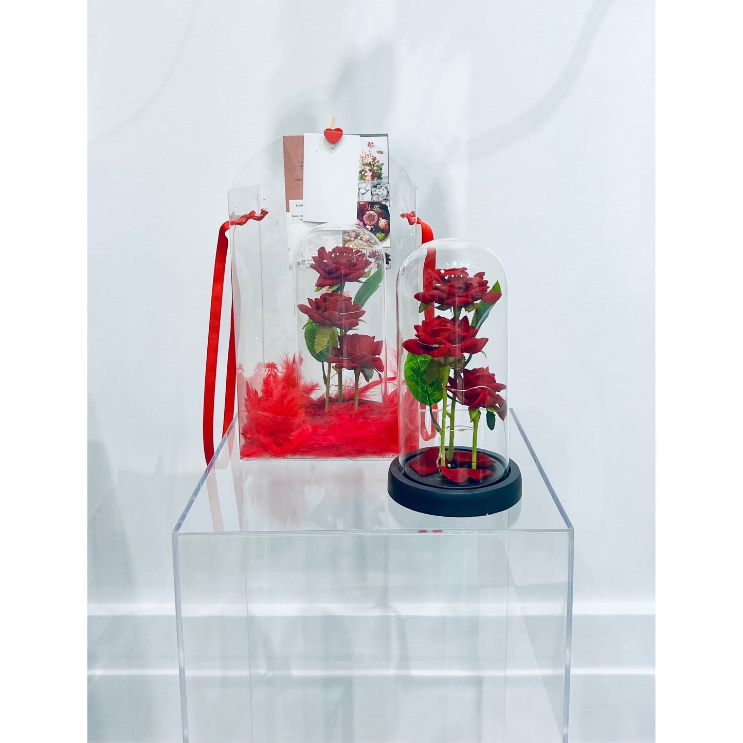 Beauty and the Beast