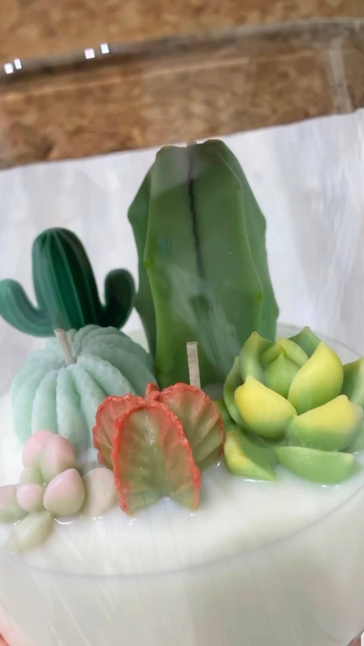 Large 3-wick Terrarium Candle | Soy blend