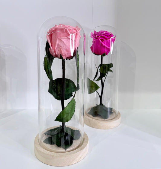 The Heart & Petal Dome