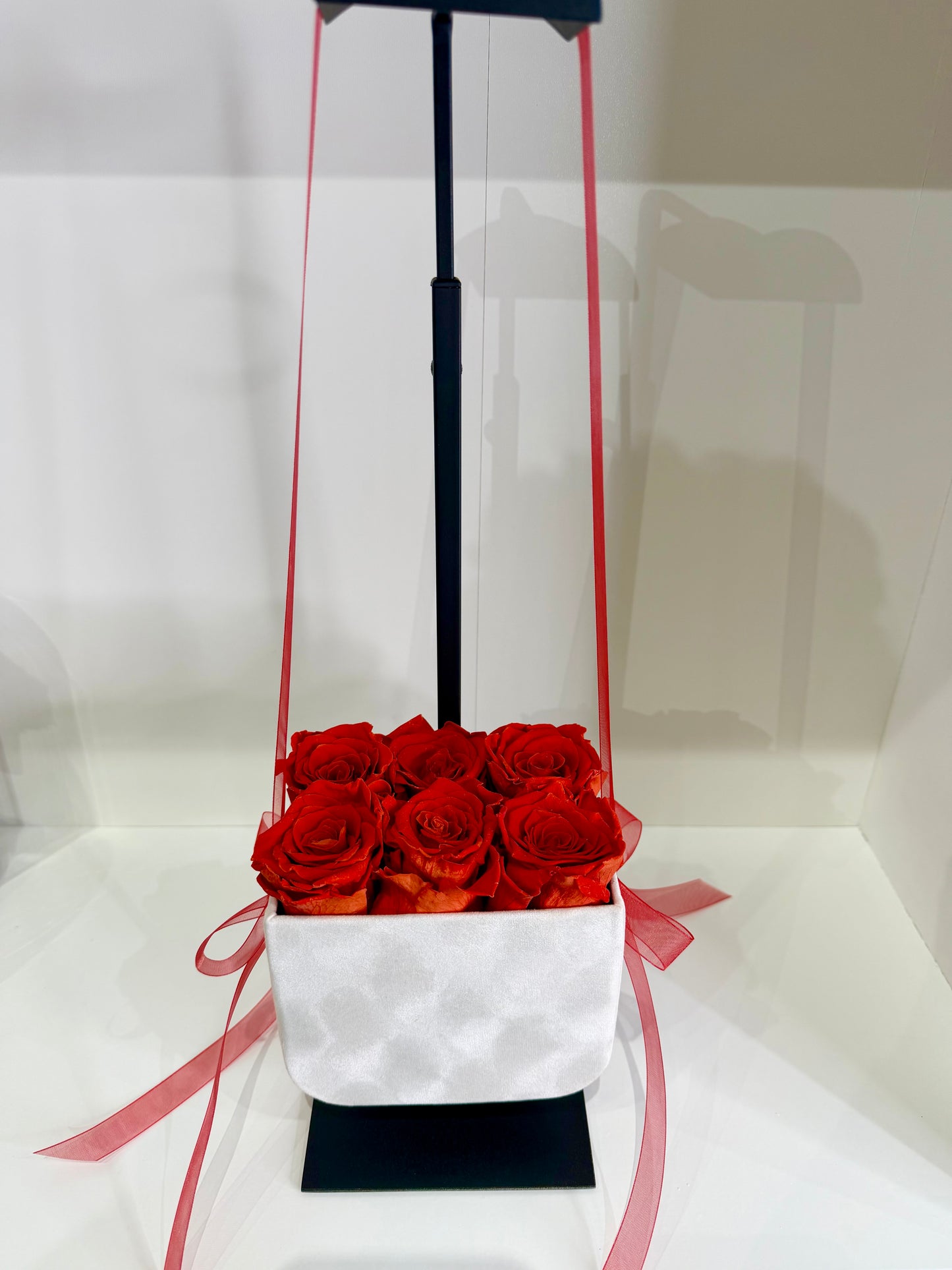 The Petite Velvet Muse