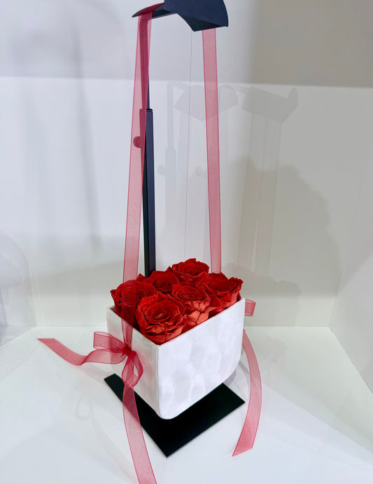 The Petite Velvet Muse