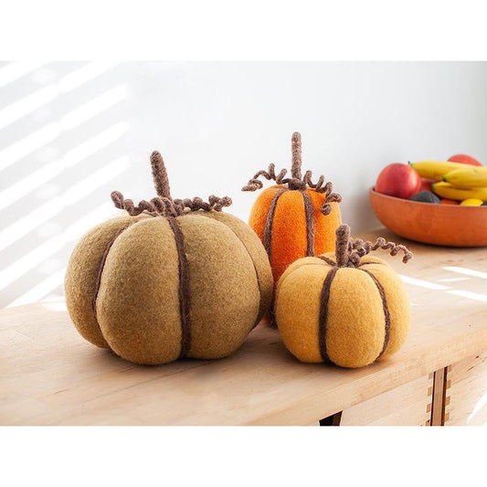 Pumpkin L