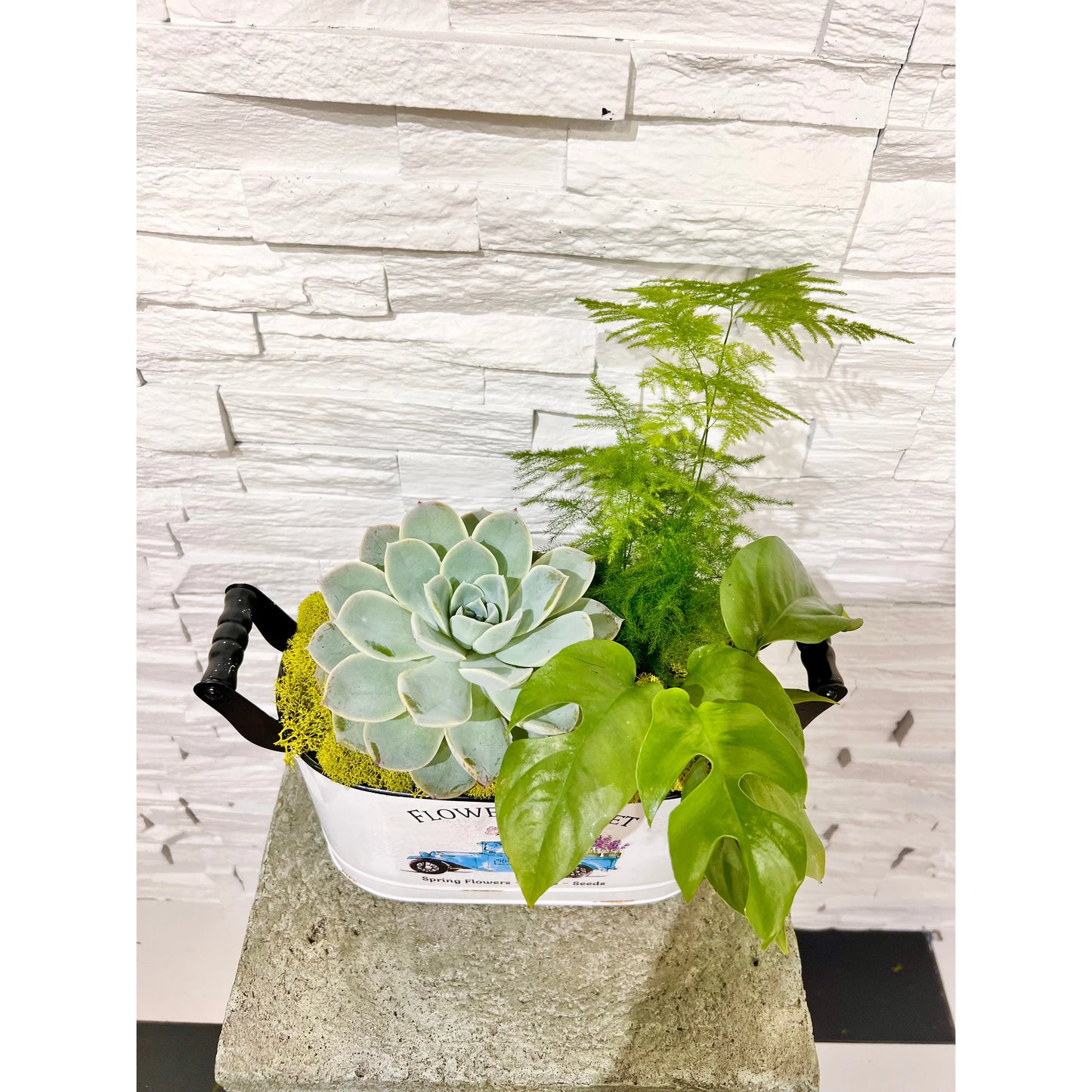 Flower Market Planter S