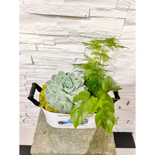 Flower Market Planter S