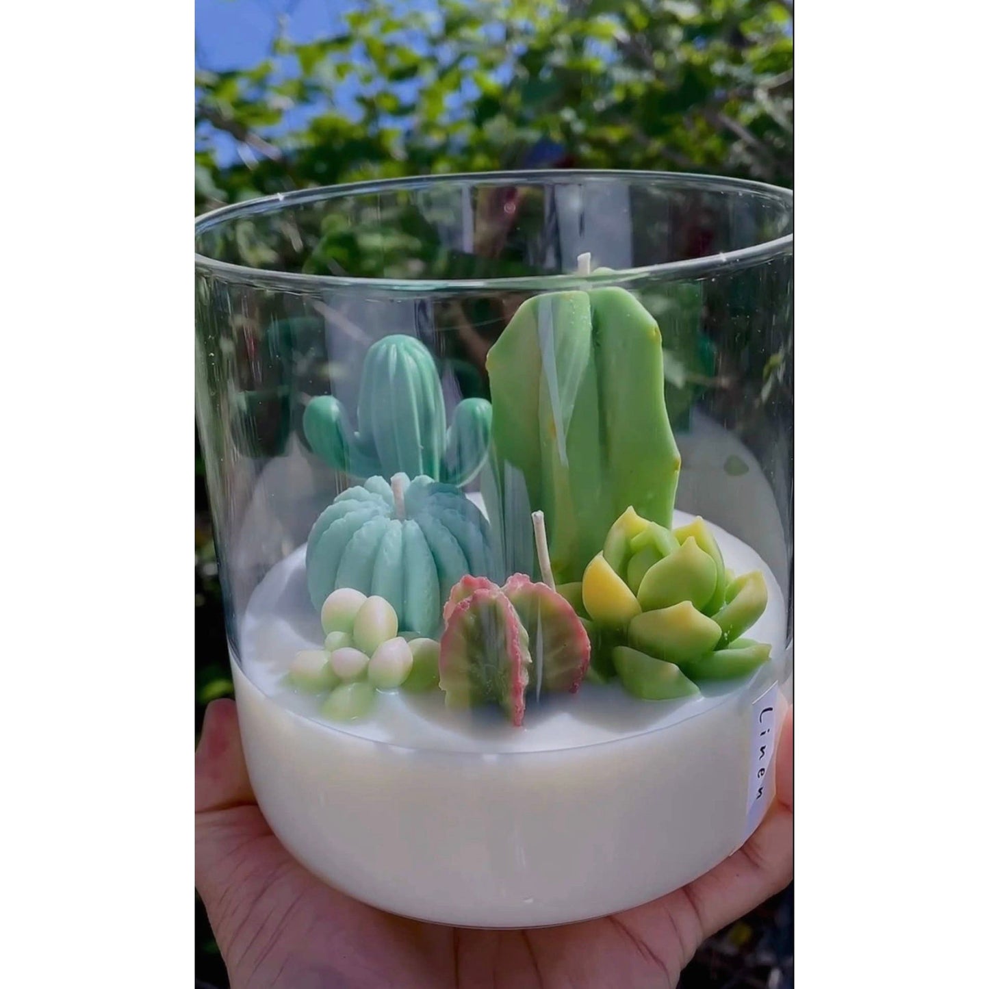 Terrarium Candle - 3 Wicks