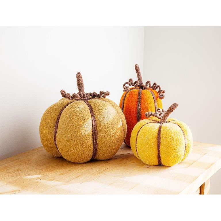 Pumpkin M