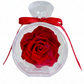 The Fragrance of Forever