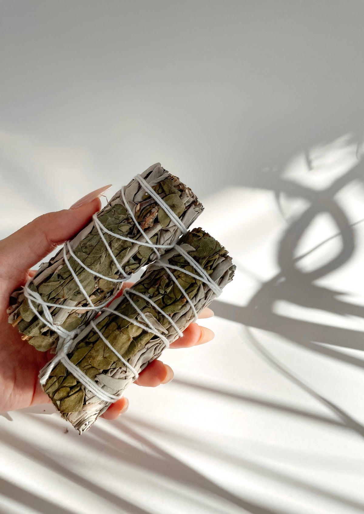 Purify: California Sage + Eucalyptus