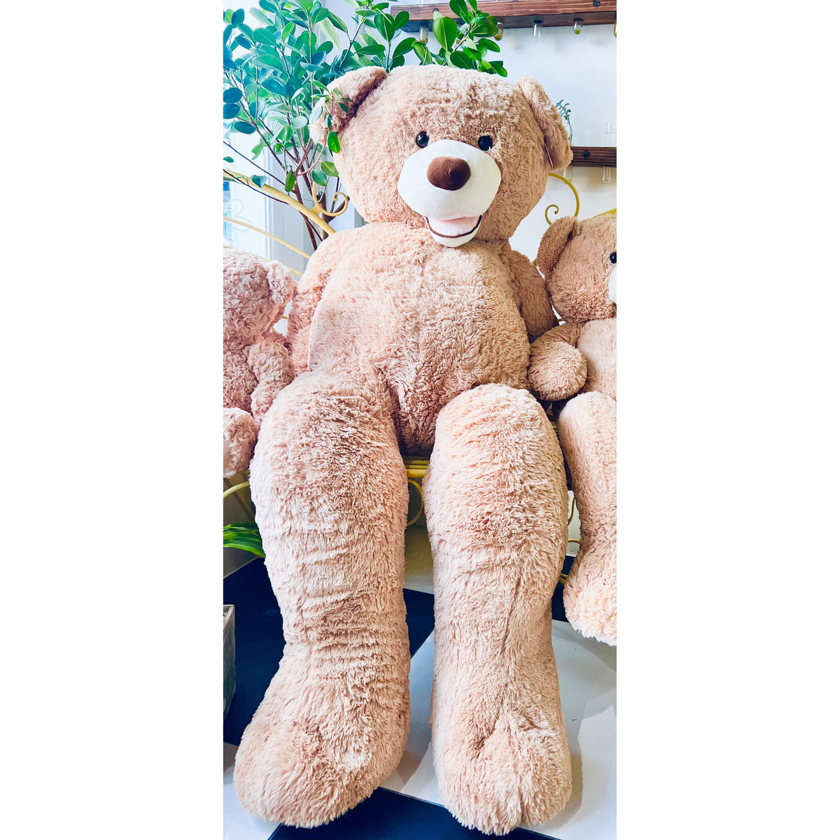 Martin The Bear