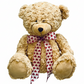 Cooper Bear
