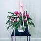 Pink Candle Holiday Arrangement