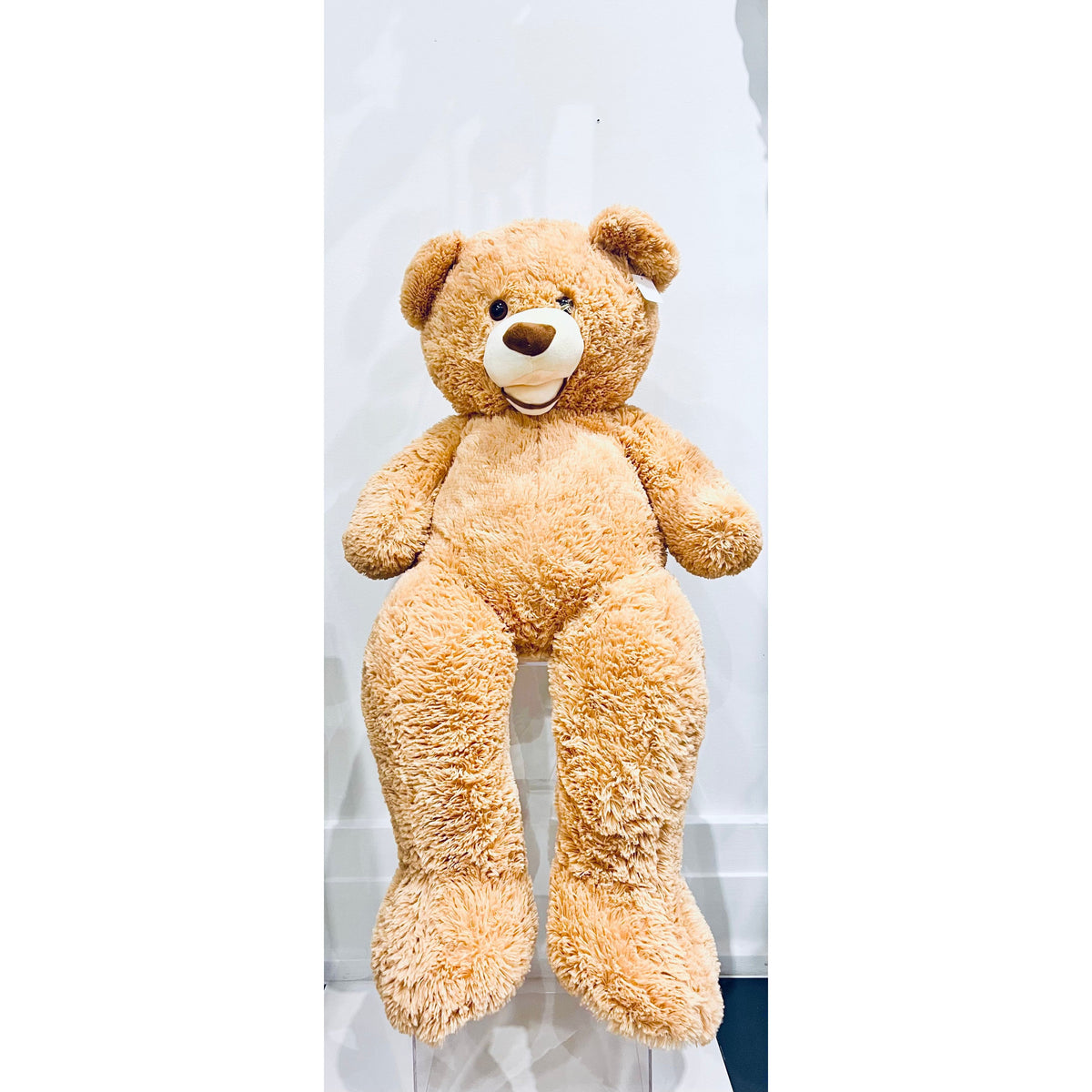 Martin The Bear