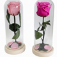 The Heart & Petal Dome