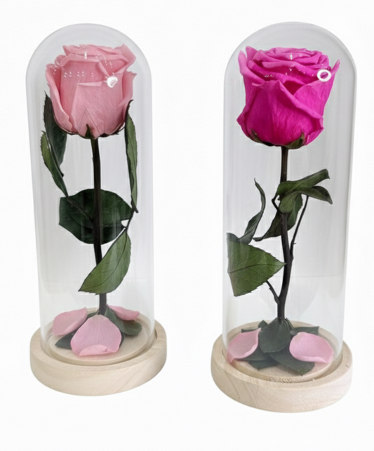 The Heart & Petal Dome