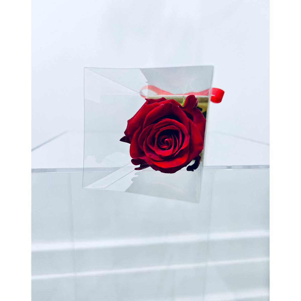 “Single Heart“ Rose
