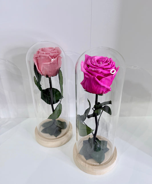 The Heart & Petal Dome