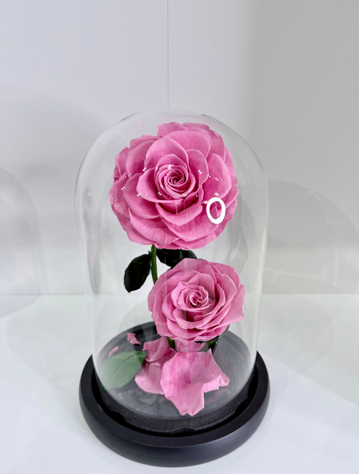 The Twin Bloom Dome