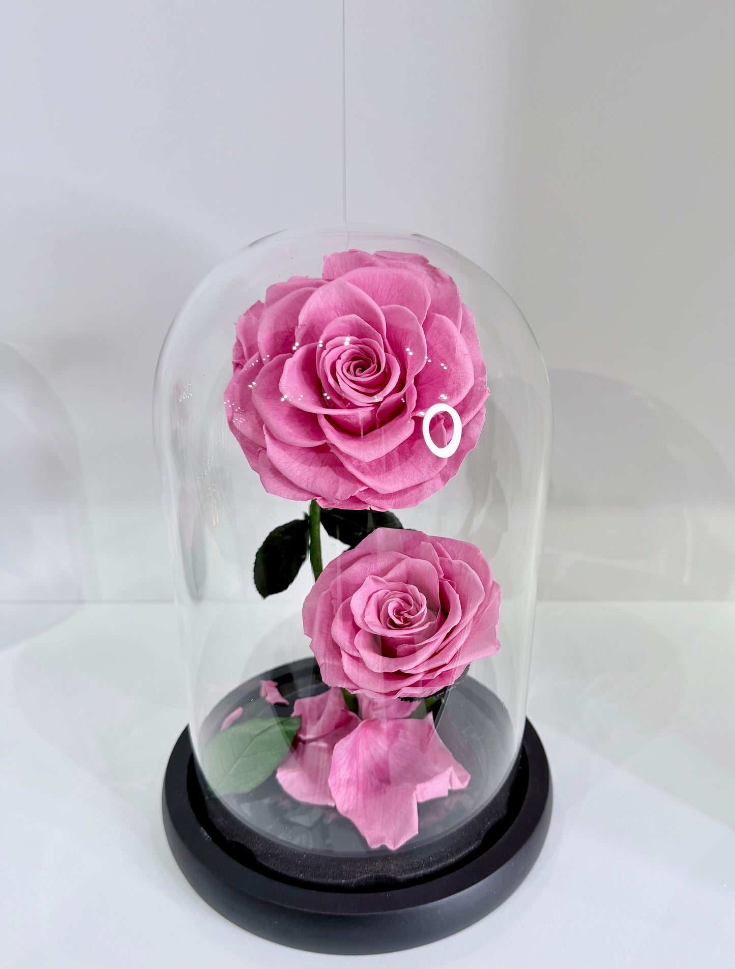 The Twin Bloom Dome