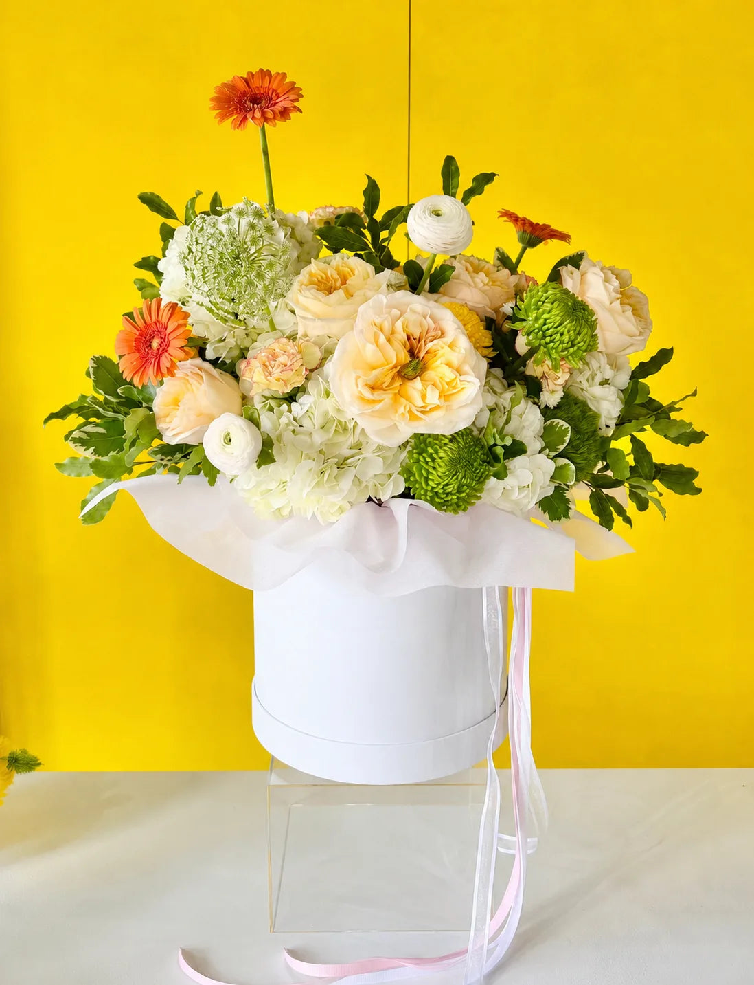 Spring Whisper Box