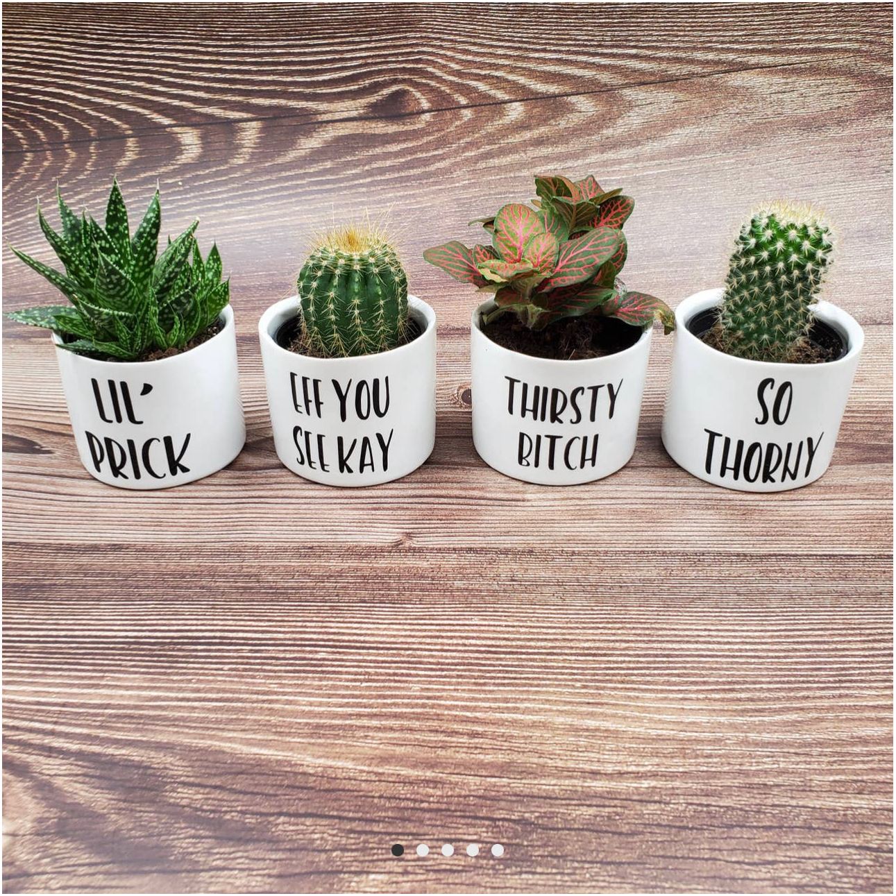 Funny Succulent Pots