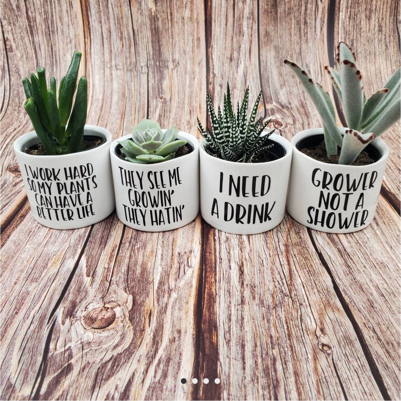 Funny Succulent Pots