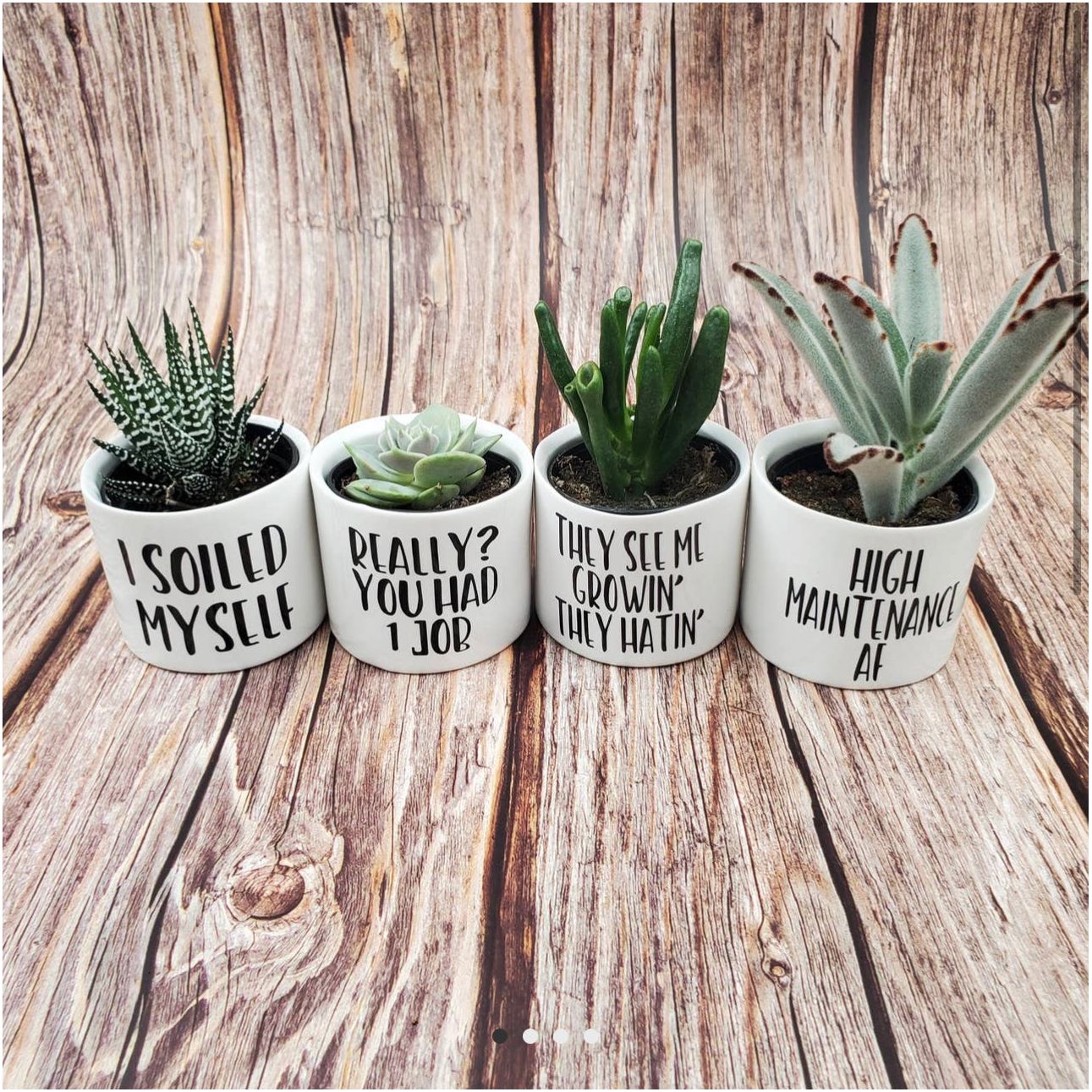 quirky succulent pots Funny Succulent Pots