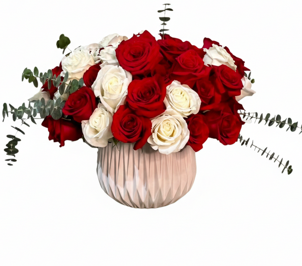 Timeless Elegance