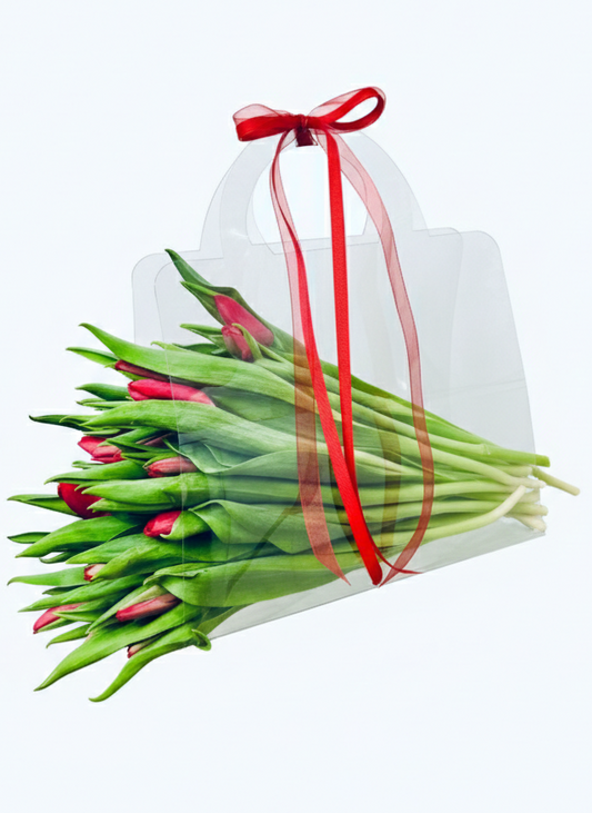 Tulip Kiss