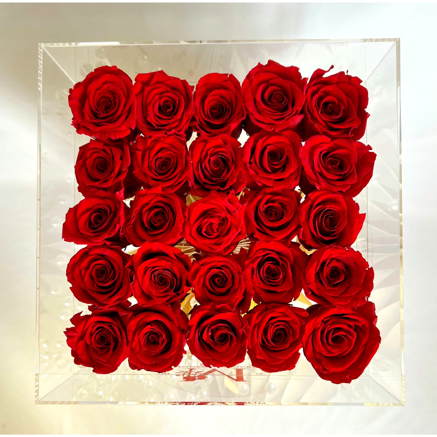 Infinite Rose Box - 25 Roses - MODERN FLOWER STUDIO