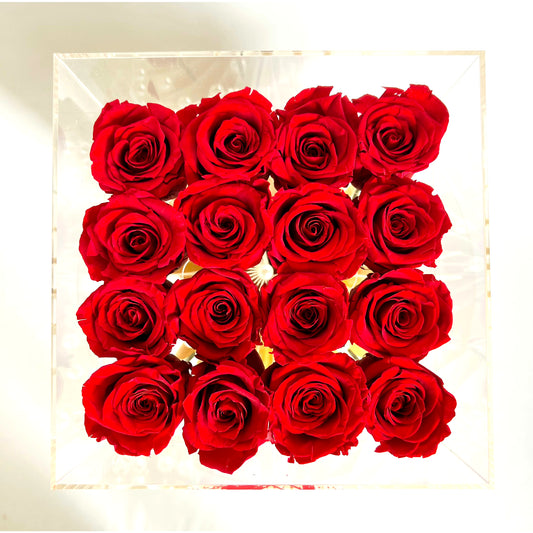 Infinite Rose Box - 16 Stems - MODERN FLOWER STUDIO