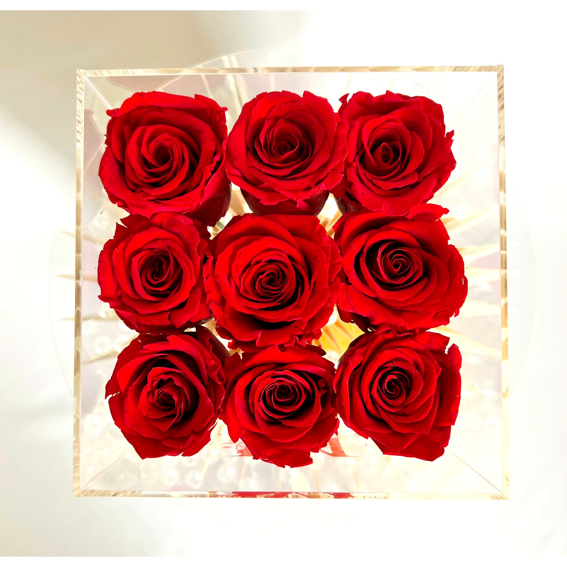 Infinite Rose Box - 9 Stems - MODERN FLOWER STUDIO